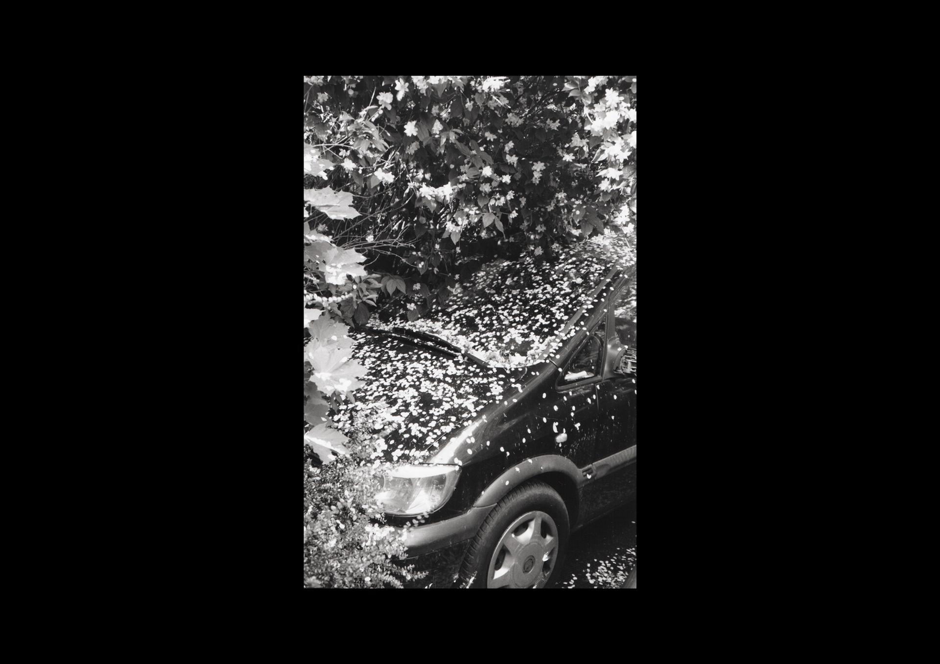 OPEXP053